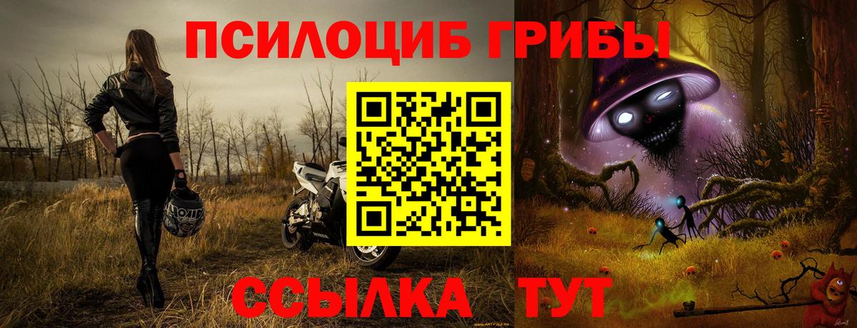 Галлюциногенные грибы ЛСД  где продают   Оренбург  Вход с VPN 