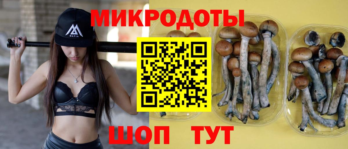 Псилоцибиновые грибы мухоморы Оренбург